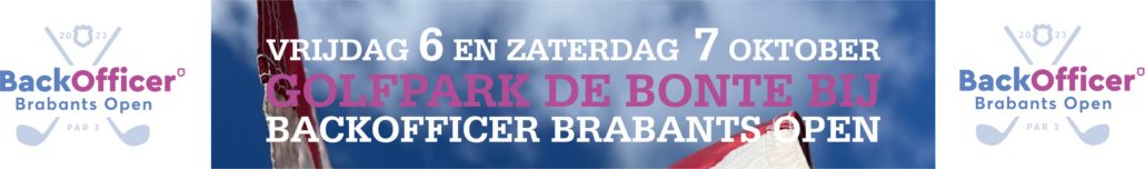 BBO_webbanner